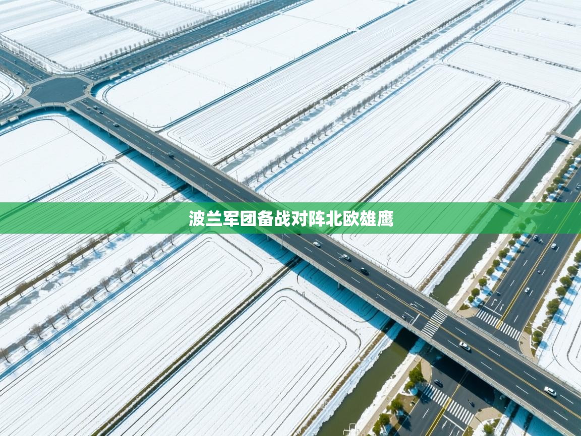 波兰军团备战对阵北欧雄鹰