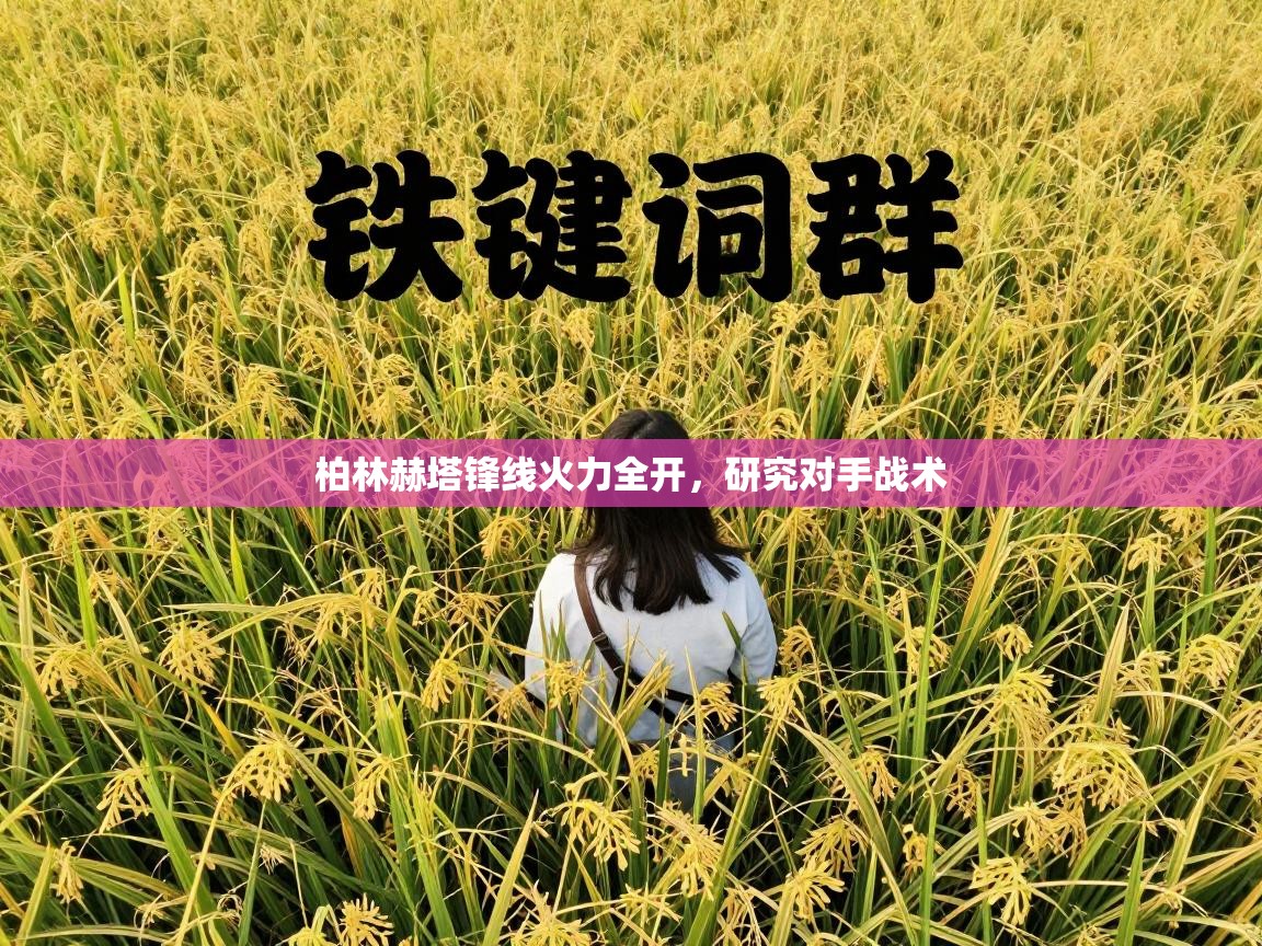 柏林赫塔锋线火力全开，研究对手战术  第2张